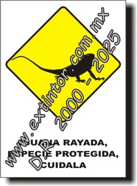 Se�alamiento de Seguridad e Higiene para IGUANA RAYADA, ESPECIE PROTEGIDA, CUIDALA